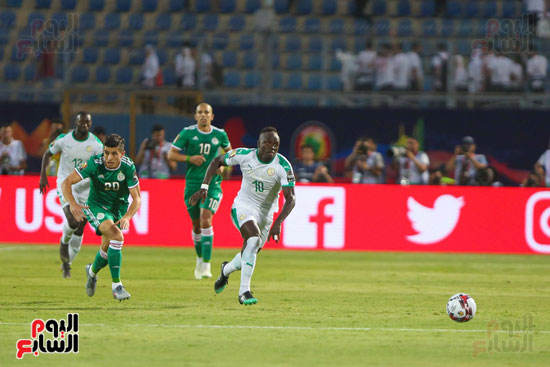 الجزائر والسنغال (24)