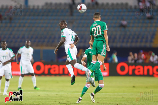الجزائر والسنغال (25)