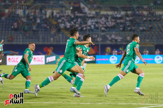 فرحة هدف الجزائر (6)