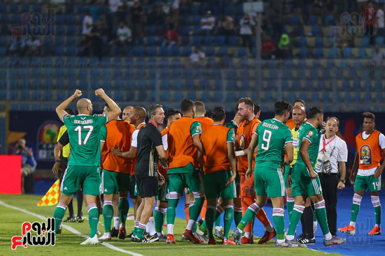 فرحة هدف الجزائر (4)