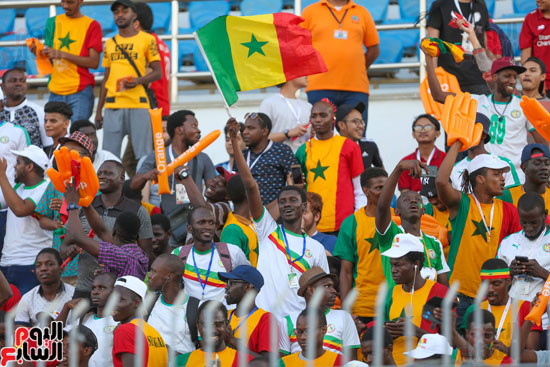  مباراة الجزائر و السنغال  (15)