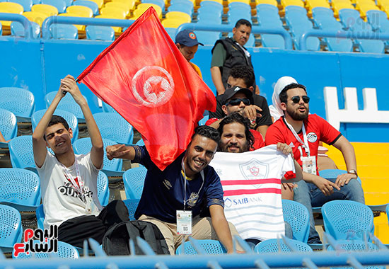 جماهير مصر تدعم تونس