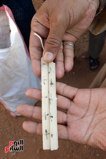 حملة-لتطهير-مقابر-قرية-قرنفيل-بالقناطر-من-اعمال-السحر-(9)