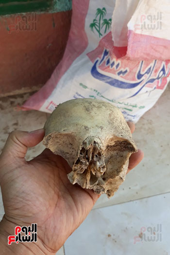 حملة-لتطهير-مقابر-قرية-قرنفيل-بالقناطر-من-اعمال-السحر-(10)