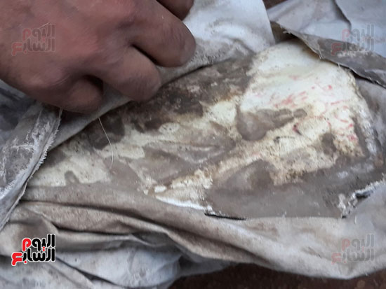 حملة-لتطهير-مقابر-قرية-قرنفيل-بالقناطر-من-اعمال-السحر-(2)