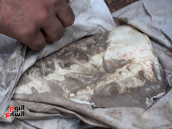 حملة-لتطهير-مقابر-قرية-قرنفيل-بالقناطر-من-اعمال-السحر-(14)