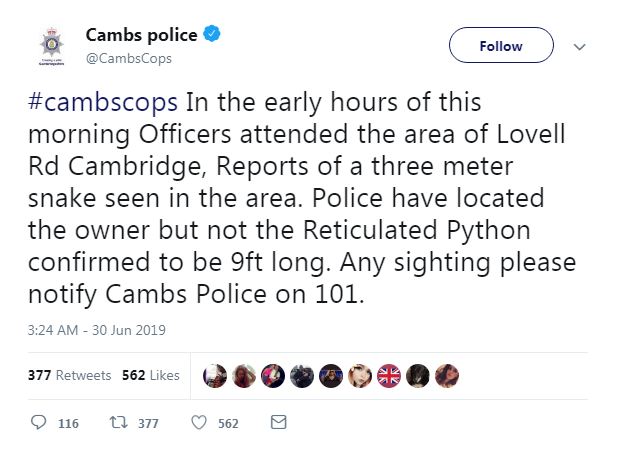 الشرطة فى شمال كامبريدج