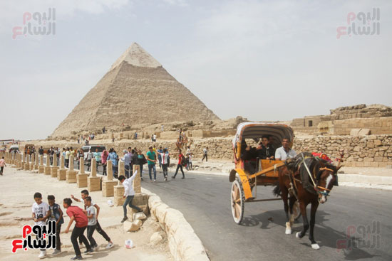 احتفال المصريين بالعيد فى اهرامات الجيزة (1)