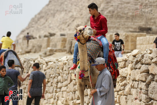 احتفال المصريين بالعيد فى اهرامات الجيزة (25)