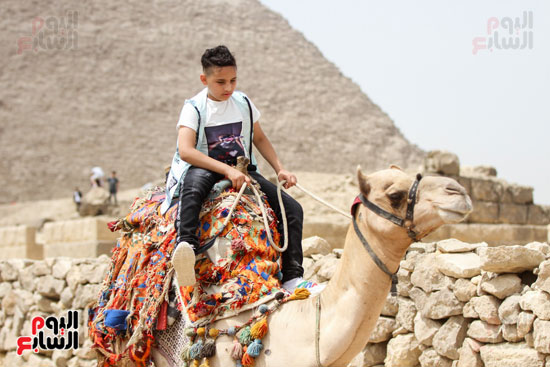 احتفال المصريين بالعيد فى اهرامات الجيزة (12)