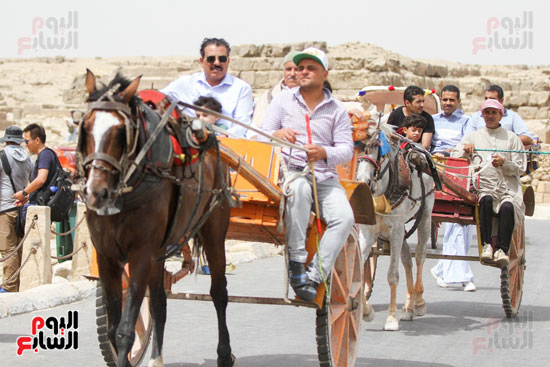 احتفال المصريين بالعيد فى اهرامات الجيزة (36)