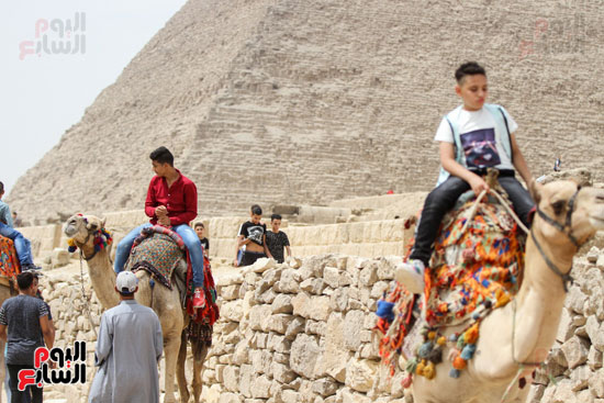 احتفال المصريين بالعيد فى اهرامات الجيزة (14)
