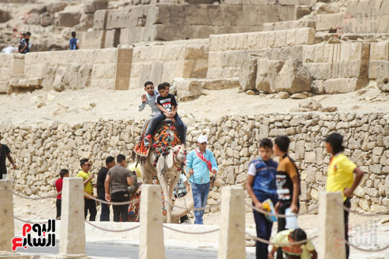 احتفال المصريين بالعيد فى اهرامات الجيزة (30)