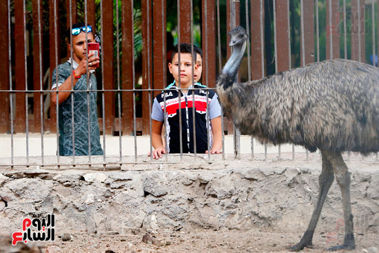 احتفال المصريين بالعيد بحديقة حيوان الجيزة (14)