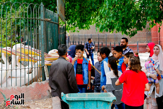احتفال المصريين بالعيد بحديقة حيوان الجيزة (12)