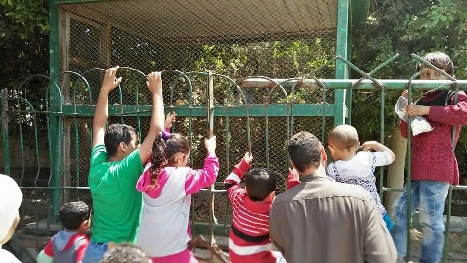 إقبال مواطنى بنى سويف على حديقة الحيوان فى أول أيام عيدالفطر (2)