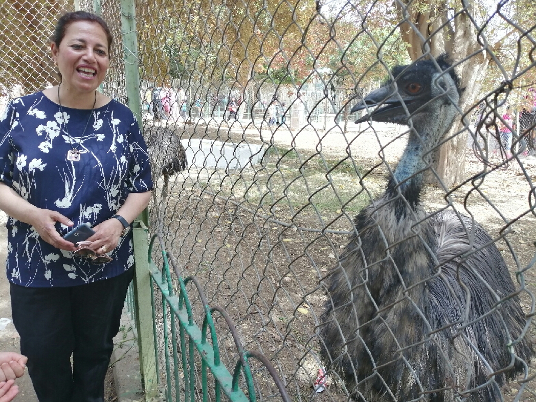 إقبال مواطنى بنى سويف على حديقة الحيوان فى أول أيام عيدالفطر (2)