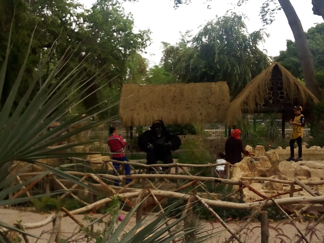 احتفال المواطنين بالحدائق بثانى أيام العيد (4)