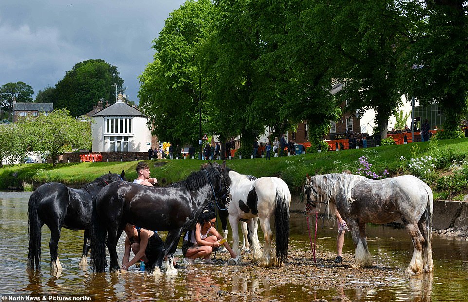 أكبر معرض للخيول فى بريطانيا (14)