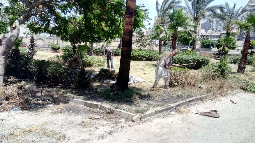تجميل حدائق حى وسط الإسكندرية (1)
