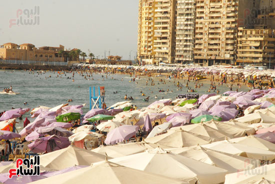 شواطئ-الاسكندرية-(3)