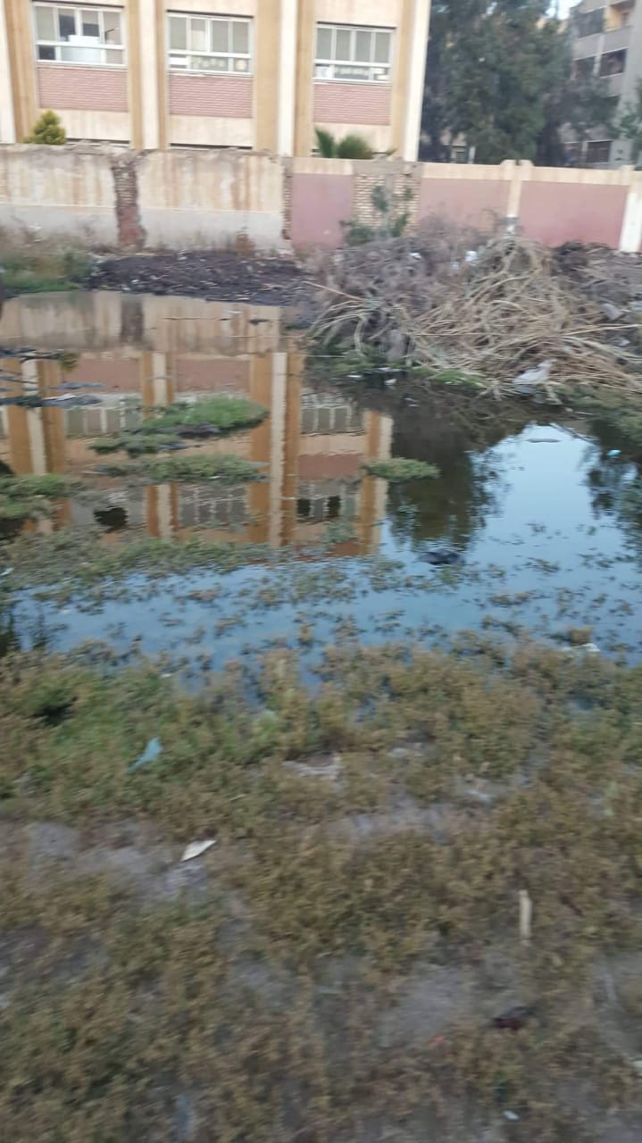 مياه الصرف بشوارع قرية الشوامى