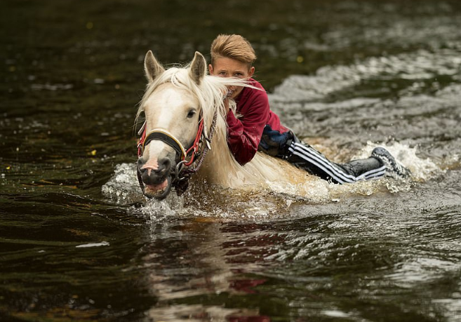 الخيول تغمرها المياه