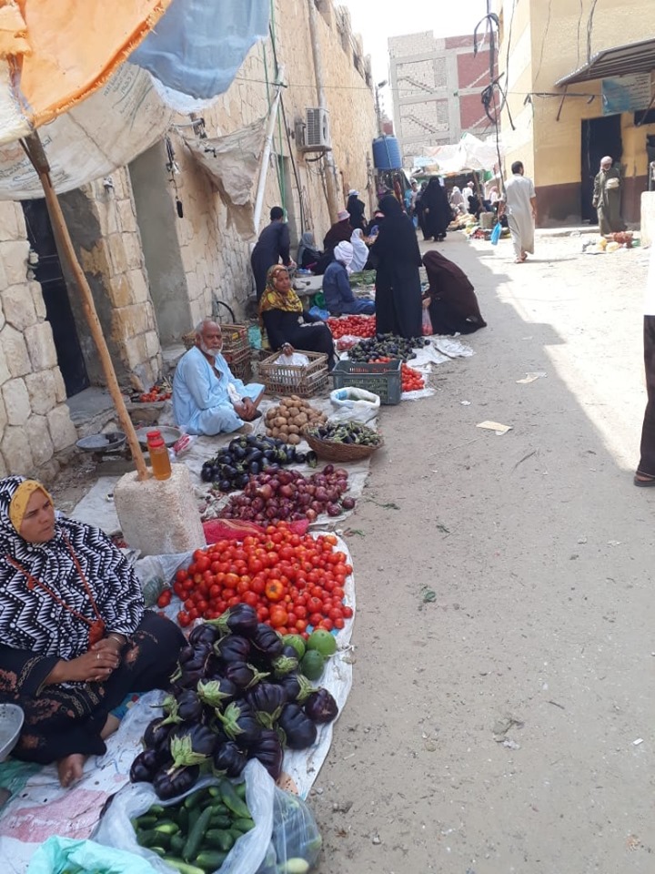 حملات فتح طرق ورفع إشغالات بمدينة بئر العبد (4)