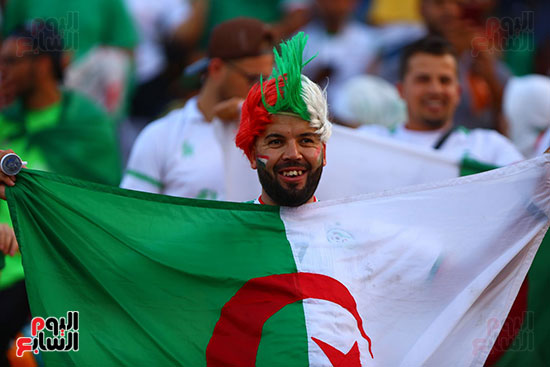 جماهير الجزائر (18)