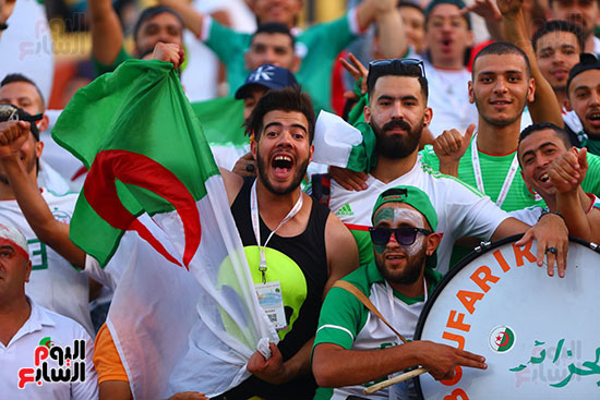 جماهير الجزائر (15)