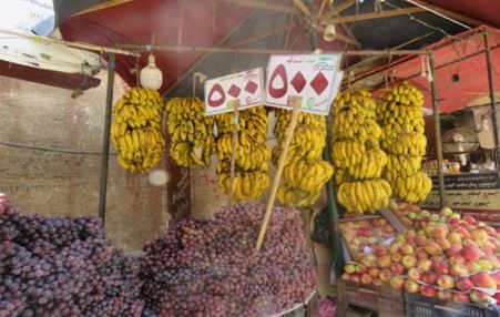 شوادر كلنا واحد