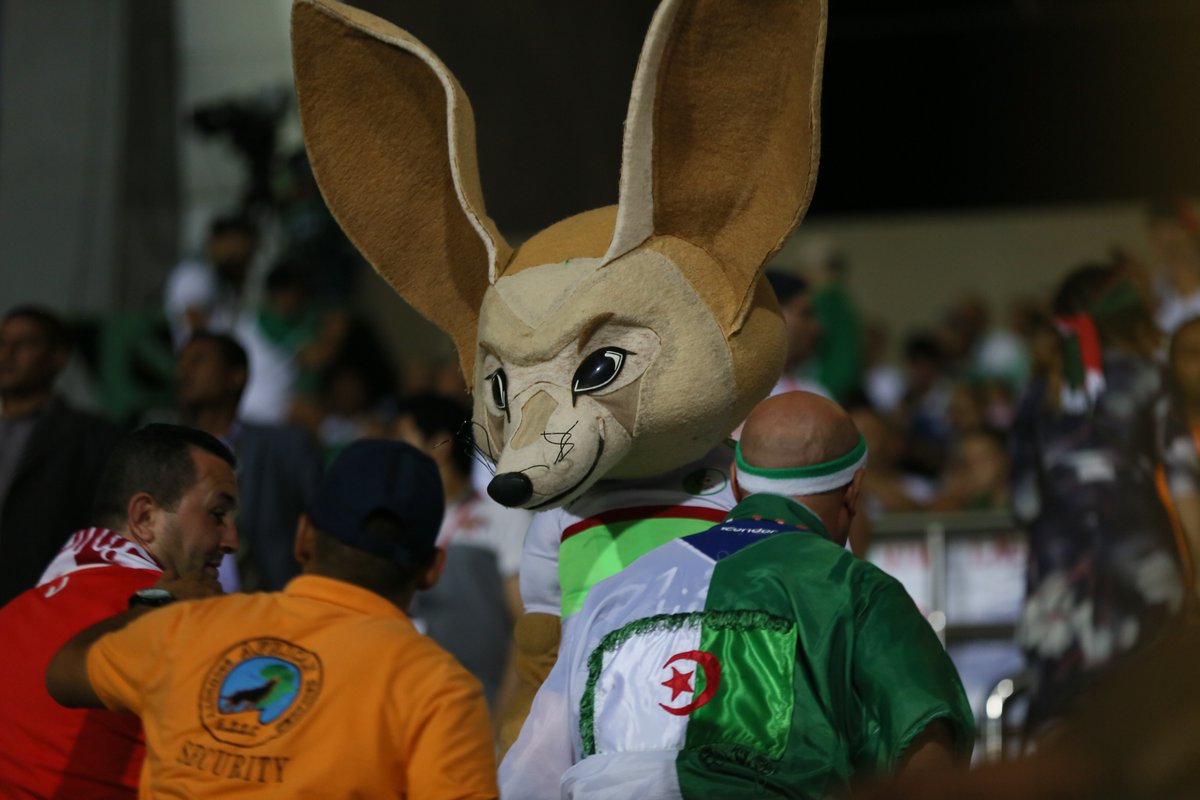 مشجع منتخب الجزائر