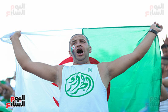 جماهير الجزائر (6)