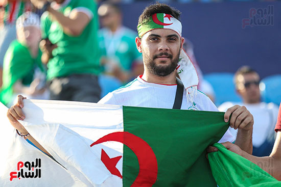 جماهير الجزائر (18)