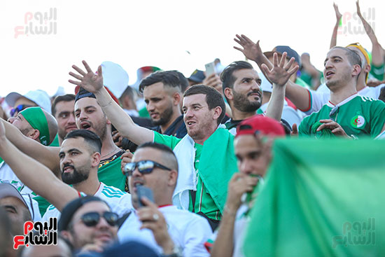 جماهير الجزائر (5)