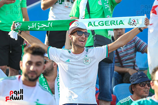جماهير الجزائر (16)