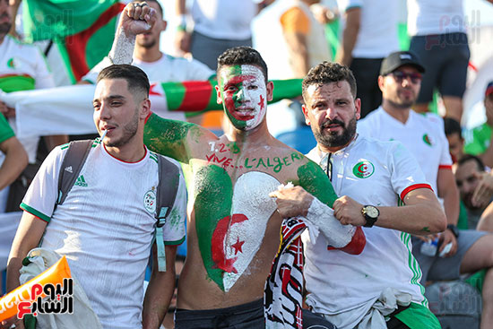 جماهير الجزائر (25)