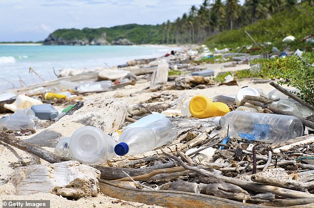 النفايات البلاستيكية على الشواطئ