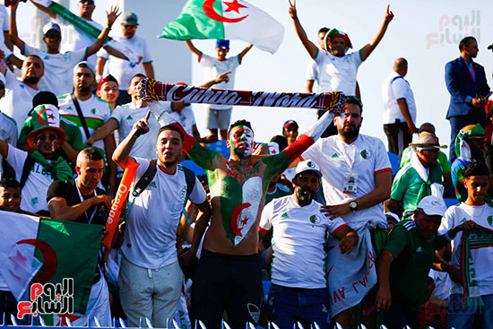 جماهير الجزائر (1)
