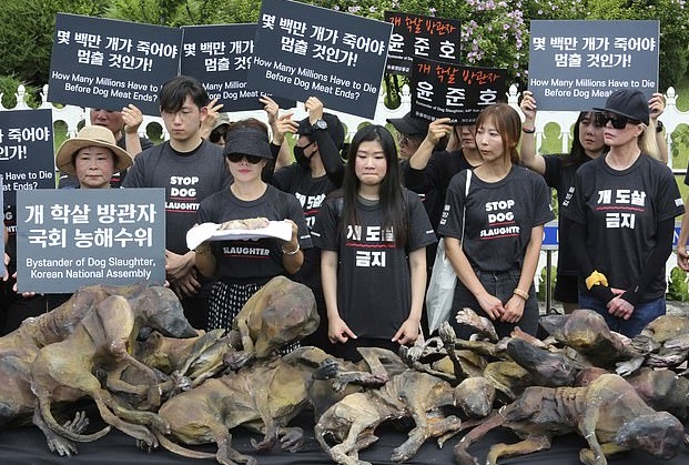 مظاهرات فى كرويا الجنوبية ضد تناول لحوم الكلاب (5)