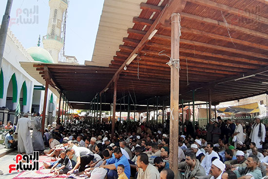 آلاف المحبين يؤدون صلاة الجمعة فى رحاب السلطان الفرغل (4)