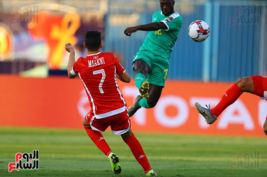 السنغال ضد تونس (38)
