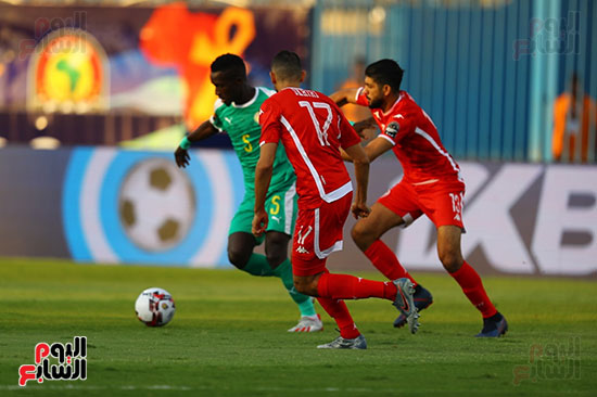 السنغال ضد تونس (10)