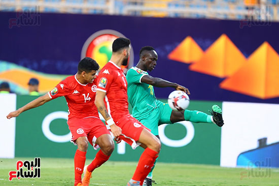 السنغال ضد تونس (64)
