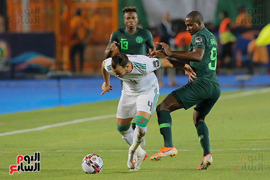 الجزائر ونيجيريا (31)