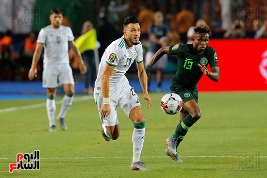 الجزائر ونيجيريا (33)