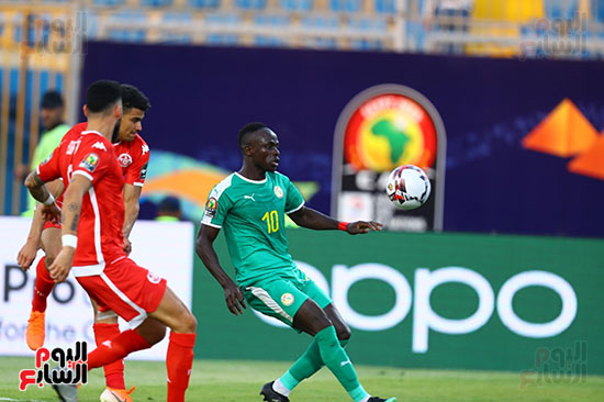 السنغال ضد تونس (34)