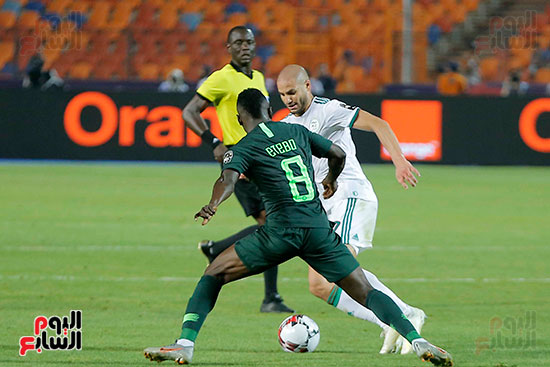 الجزائر ضد نيجيريا (53)