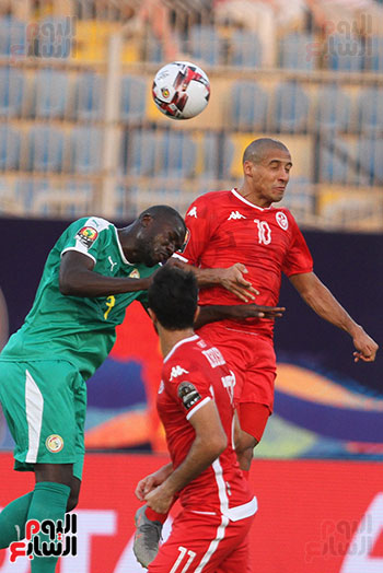 السنغال ضد تونس (14)