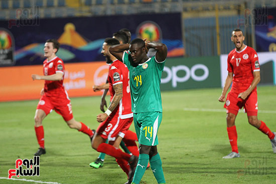 السنغال ضد تونس (11)